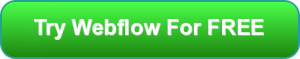 webflow-review